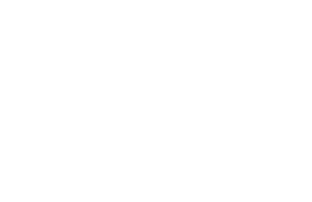 Danomic Animation